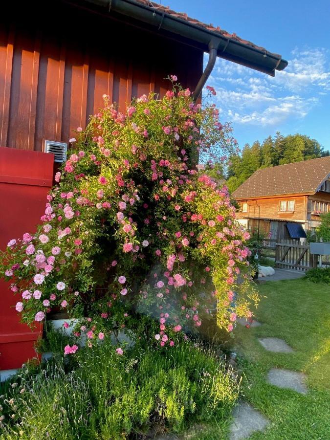 Doppelzimmer In Charmantem B&B Hemberg Exterior foto